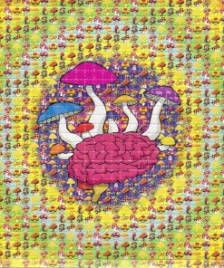 Buy LSD-25 Tabs Mushroom Brain Online in Canada - Buy MDMA Canada
