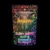 Buy Shroom Gummy Bears - Assorted - 3000MG Online in Canada - Buy MDMA Canada